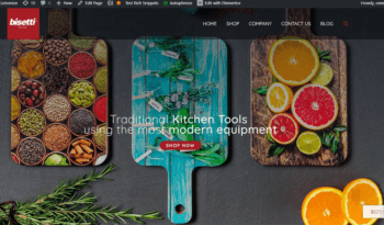 pagina-web-bisetti
